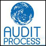 audit-process